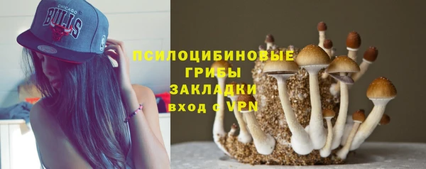 марки nbome Аркадак