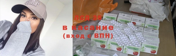 индика Армянск