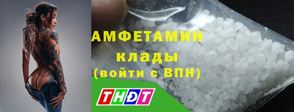 индика Армянск