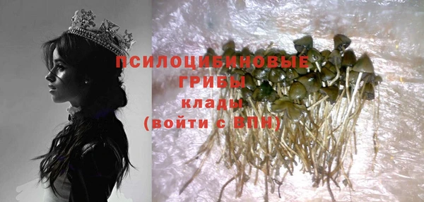 индика Армянск