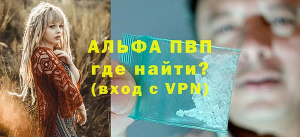 индика Армянск
