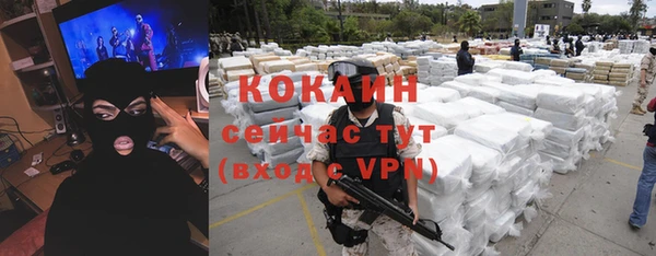индика Армянск